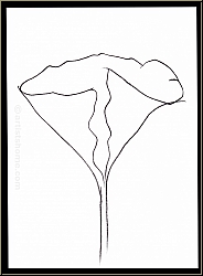 Ellsworth Kelly: � Lotus � en noir 1982, Lithographie originale pour � Hommage � Aim� et Marguerite Maeght �