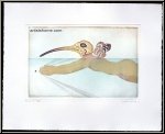 Michel Lablais: �Homme-Ibis� Homme-oiseau, gravure � l'eau-forte sign�e, nageur curieux | �uvre graphique